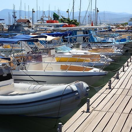 Adamou Gardens Daire Pafos Dış mekan fotoğraf